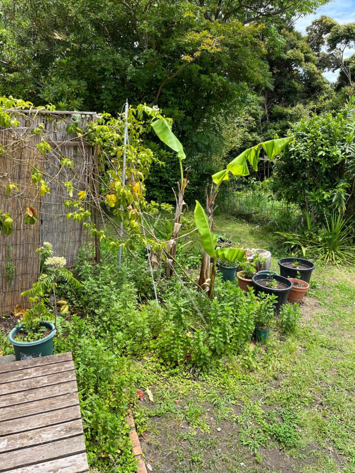 Guesthouse Papaya Shimoda  Bagian luar foto